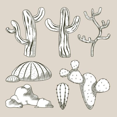 Çöl bitkileri çizilen çizgi film el