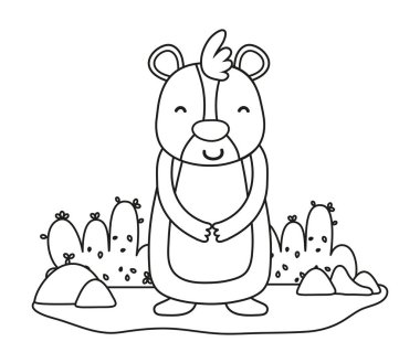 Anahat mutlu ayı vahşi hayvan peyzaj