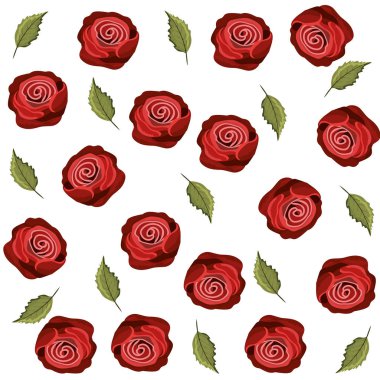 güzel tropikal gül ve yaprakları arka plan