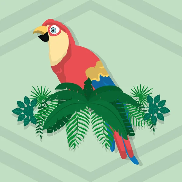 Papoušek exotický — Stockový vektor