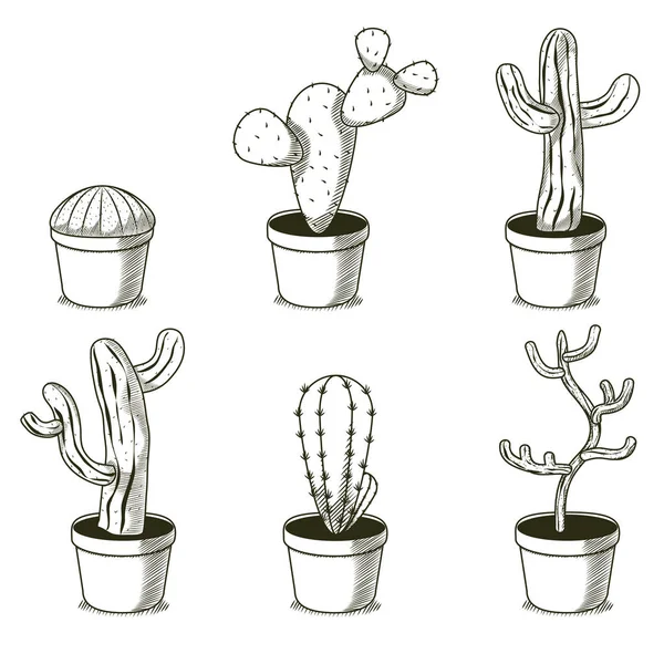 Plantas do deserto desenhos animados desenhados à mão —  Vetores de Stock