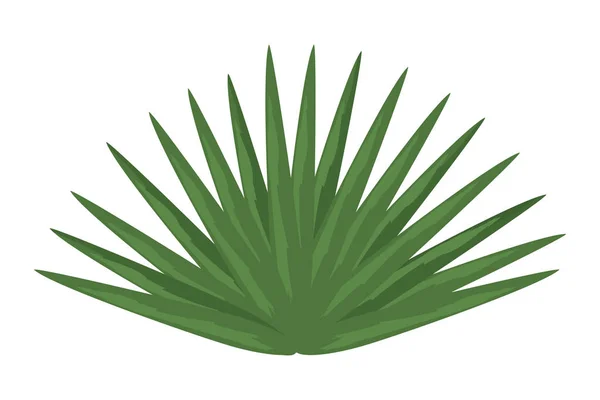 Planta de hojas aisladas — Vector de stock