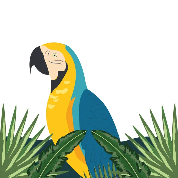 Pájaro exótico y tropical — Vector de stock