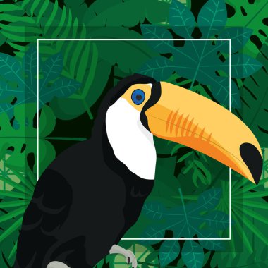 Egzotik kuş çizgi filmi