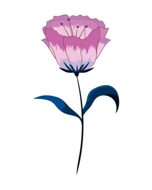 güzel egzotik çiçek bitki yaprakları ile