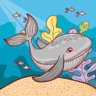 deniz hayvanları ile egzotik deniz yosunu bitkiler