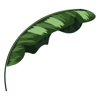 İzole bitki yaprak