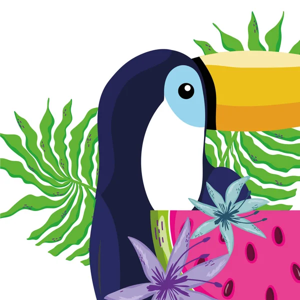 Dibujos animados de tucano de aves tropicales — Vector de stock