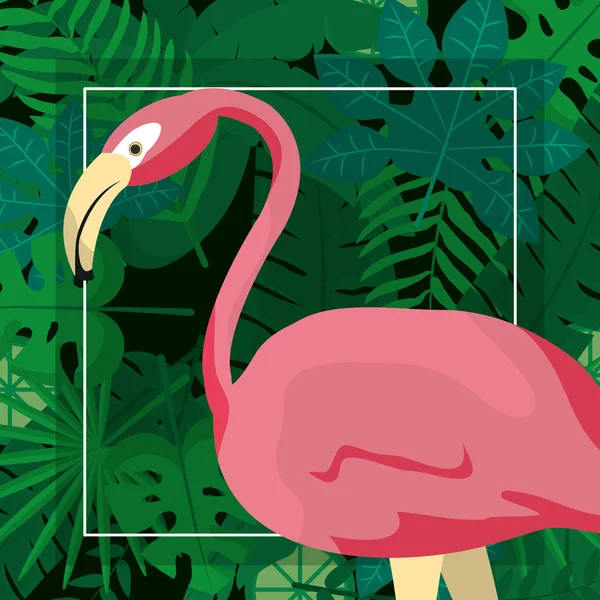 Dibujos animados de aves exóticas — Archivo Imágenes Vectoriales