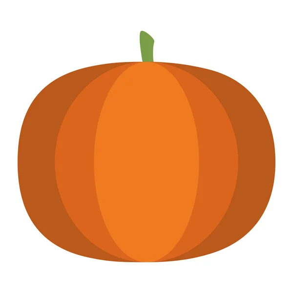 Pumpkin vegetable isolated — Stock Vector