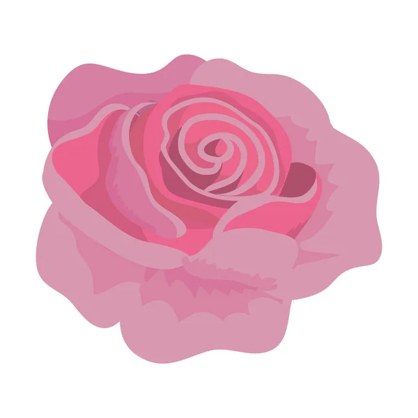 Rosa exotische Rose mit natürlichen Blütenblättern — Stockvektor