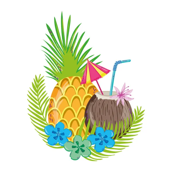 Bebidas tropicales y de verano — Vector de stock