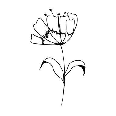 Anahat doğa egzotik çiçek bitki dal ile