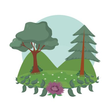 güzel orman manzarası