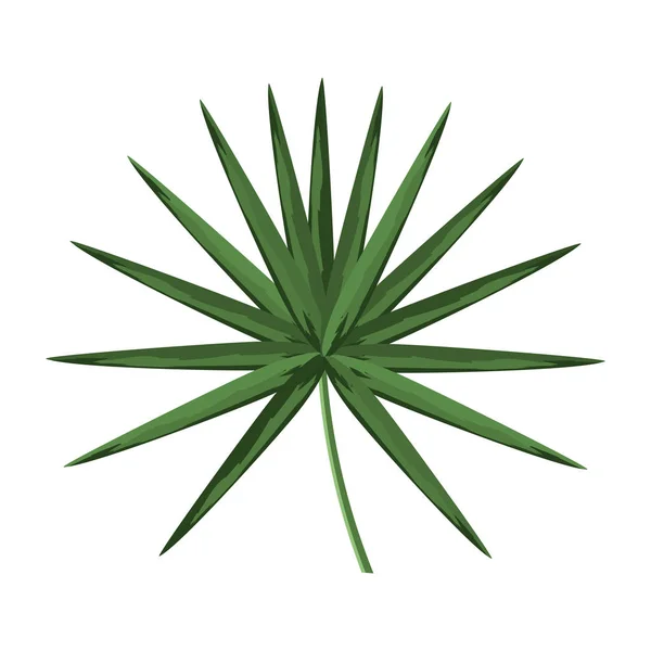 Planta de hojas aisladas — Vector de stock