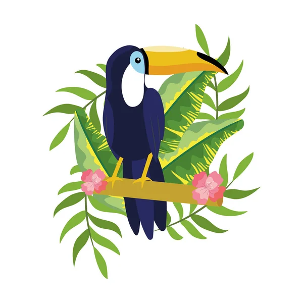 Tropický tucano karikatura — Stockový vektor