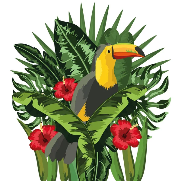 Tucan Aves exóticas e tropicais — Vetor de Stock