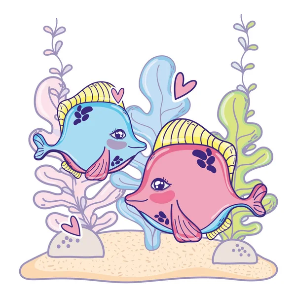 Lindo pareja peces animal con algas — Archivo Imágenes Vectoriales