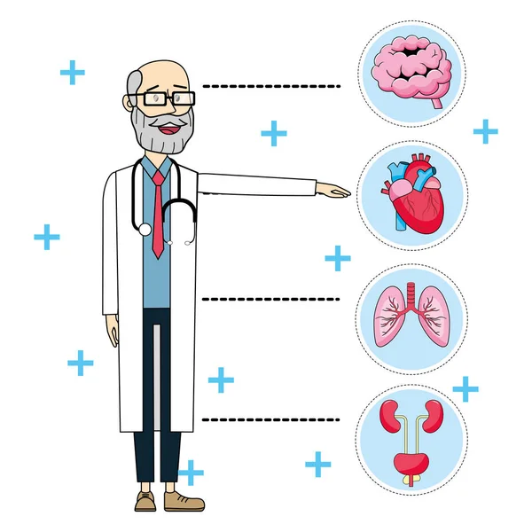 Läkare tecknad och organ — Stock vektor