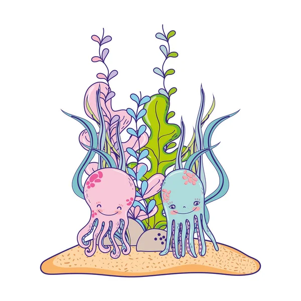 Gurita pasangan hewan dengan tanaman rumput laut - Stok Vektor
