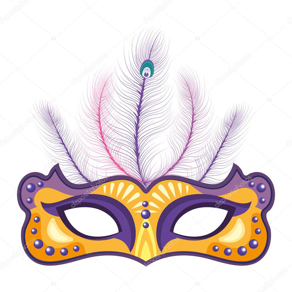 Mask with feather isolated vector illustration graphic design