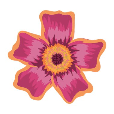 İle güzel pembe çiçek yaprakları