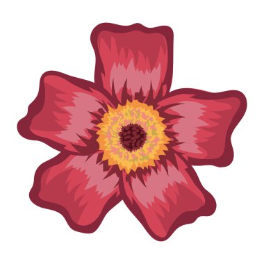 İle güzel pembe çiçek yaprakları