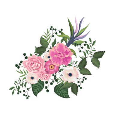 İle güzel pembe çiçek yaprakları