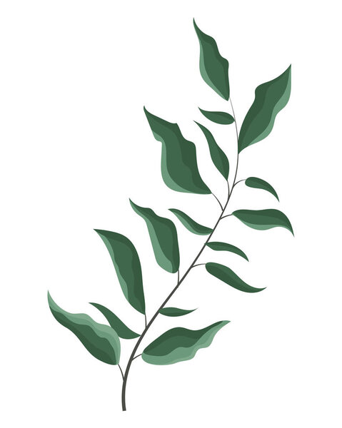 Leaves bouquet drawing