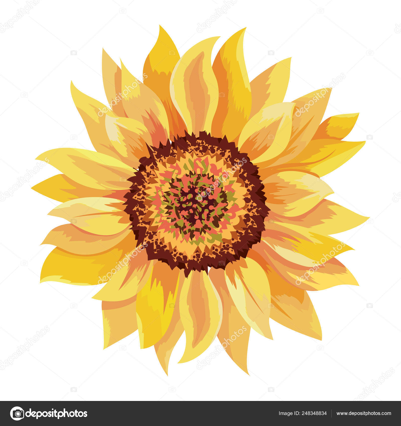 How to Draw a Sunflower Easy Step by Step Drawing Guides | Girasoles  dibujo, Arte del bosquejo, Dibujos