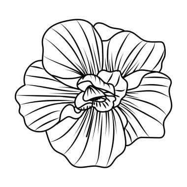 çizim çiçek yaprakları