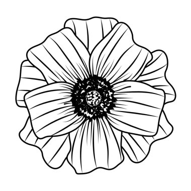 çizim çiçek yaprakları