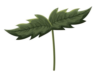 buket doğa bırakır