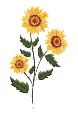 Bahar Ayçiçek drawinf yaprakları ile
