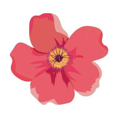 Güzel çiçek Çizim