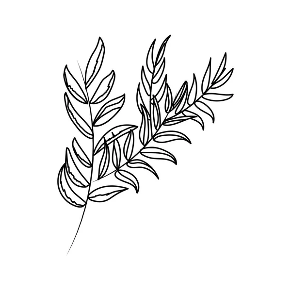Blätter Strauß Natur Zeichnung — Stockvektor