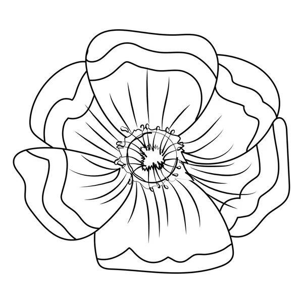 Virág szirmok rajz — Stock Vector