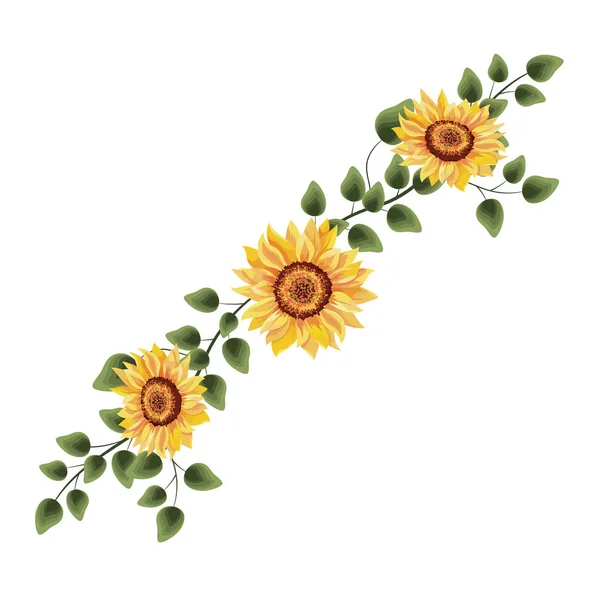 Drawinf de girassol de primavera com folhas — Vetor de Stock