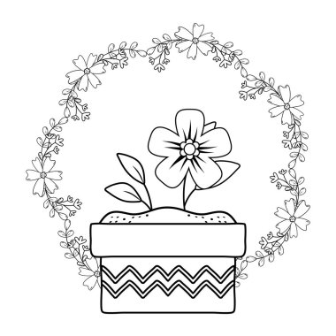 güzel çiçek ve seramik tencere ve taç yapraklar