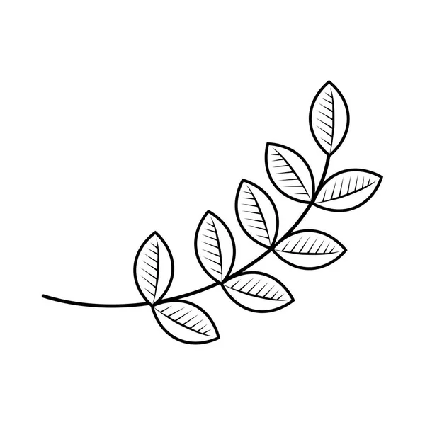 Gren med bladväxt — Stock vektor