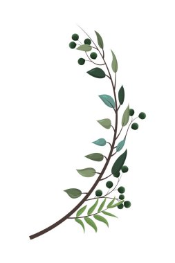 Yaprakları buket doğa izole