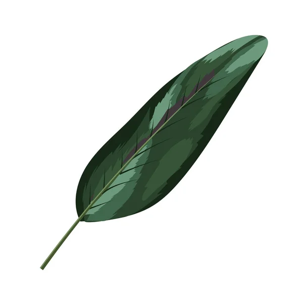 Leaf natur symbol isolerade — Stock vektor