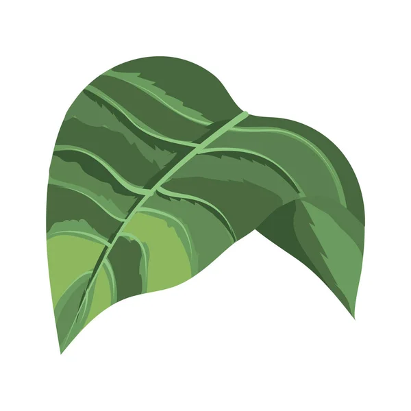 Φύλλα φύση σύμβολο απομονωμένες — Διανυσματικό Αρχείο