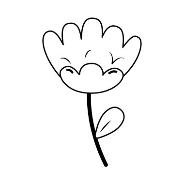 güzel gül çiçek dekoratif