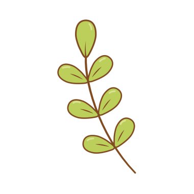 Yapraklı ağaç dalı.