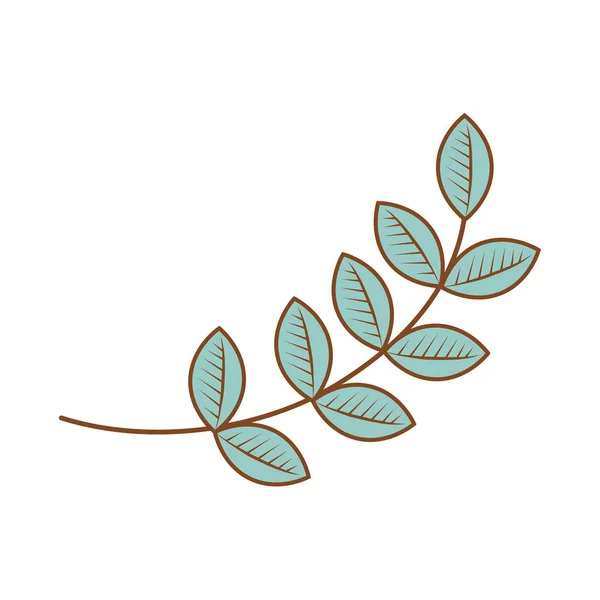 Branche avec plante à feuilles — Image vectorielle