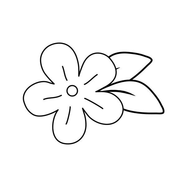 Красива квітка і листя декоративна ікона — стоковий вектор