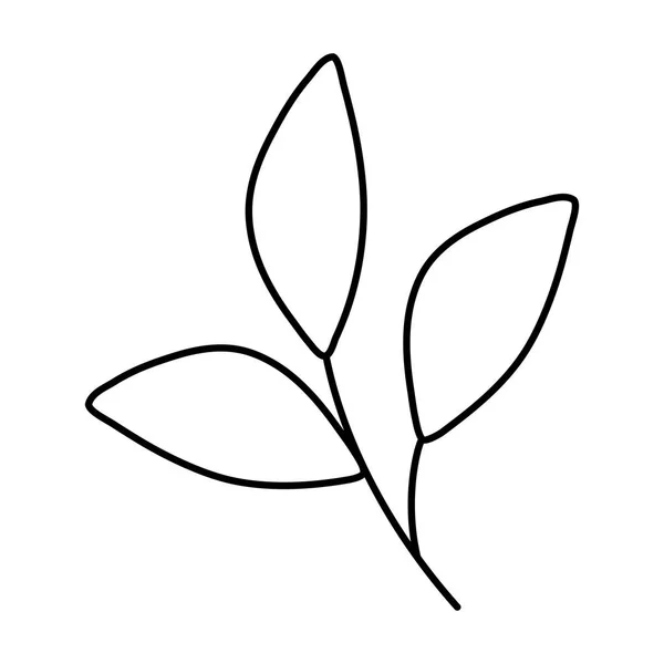 Oddział z rośliną liściastą — Wektor stockowy