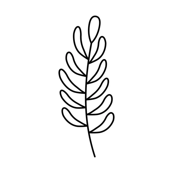 Rama con planta de hojas — Vector de stock