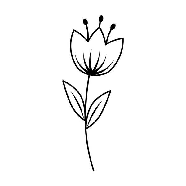 Krásné květinové dekorativní ikona — Stockový vektor